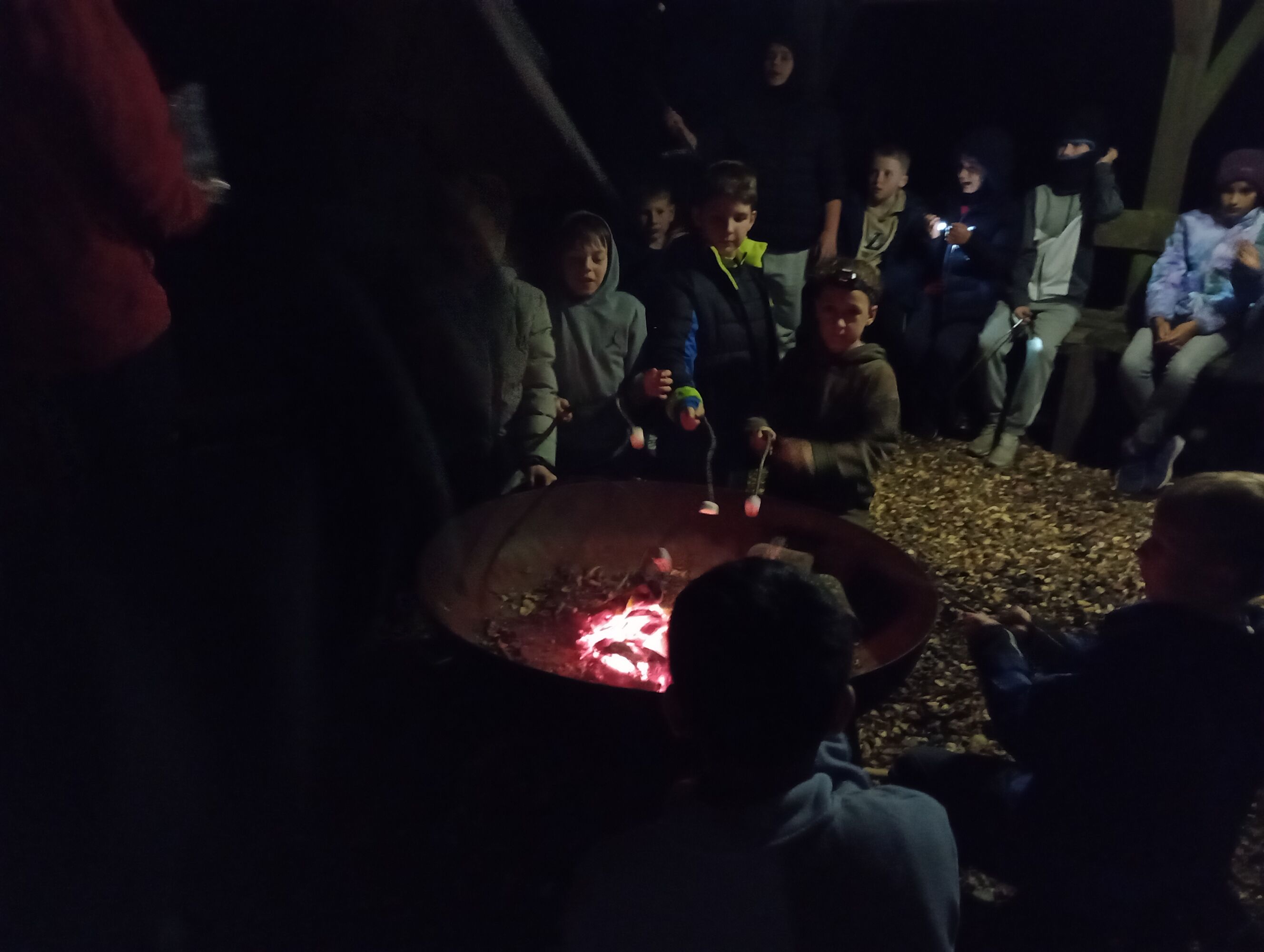 Img 20251007 203507373 mfnr