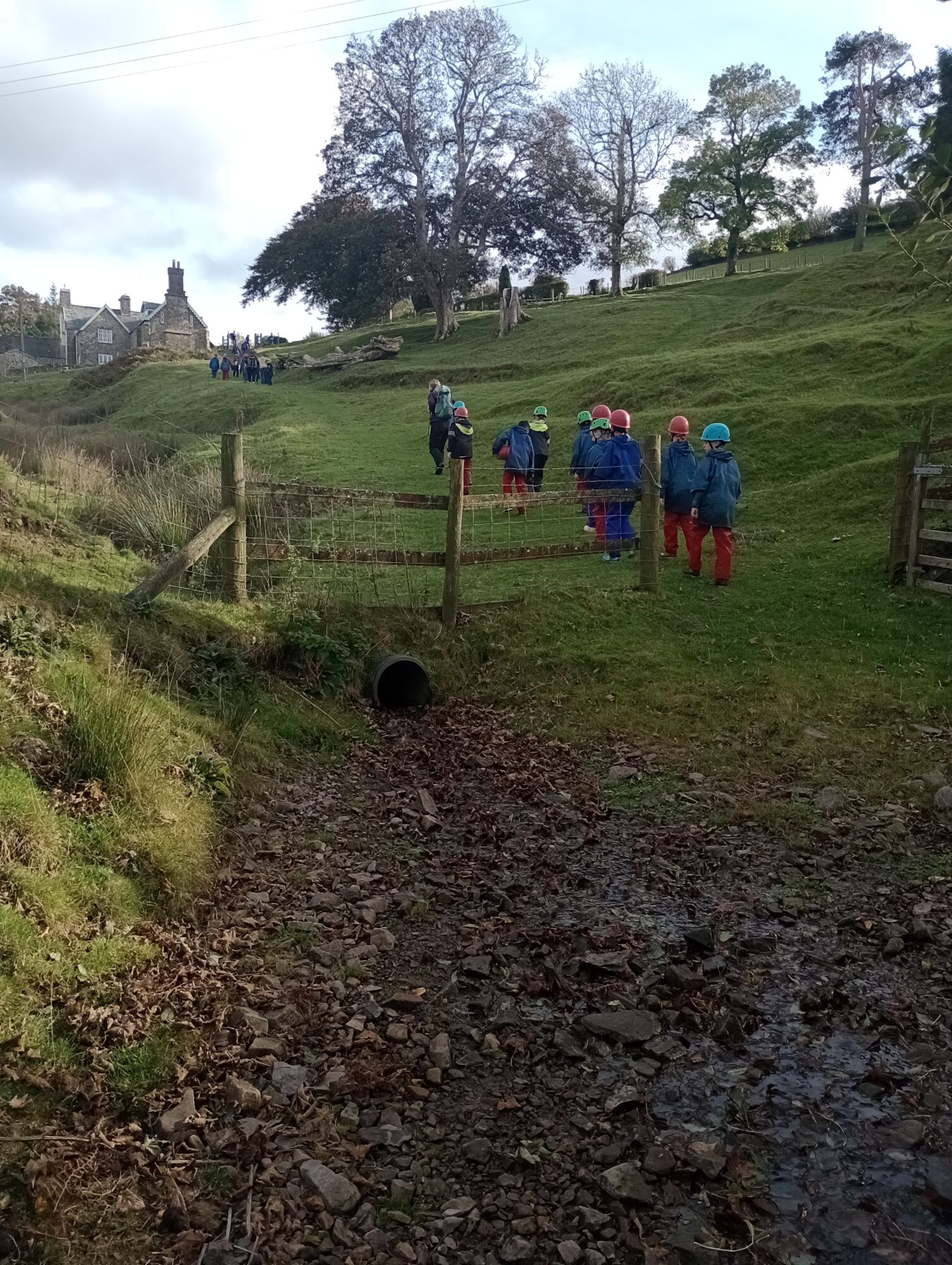 Img 20251007 161904203 mfnr