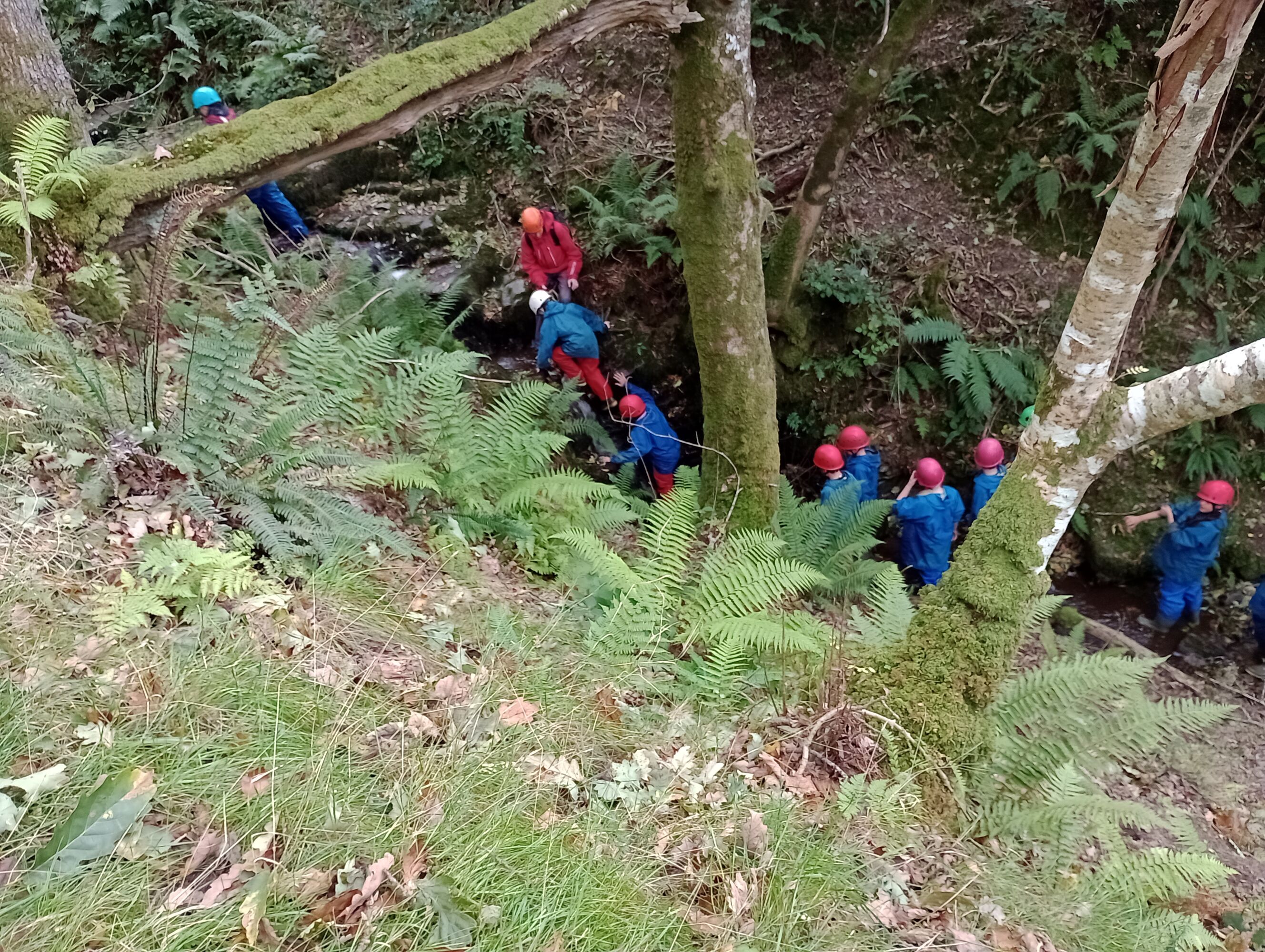 Img 20251007 154657641 mfnr