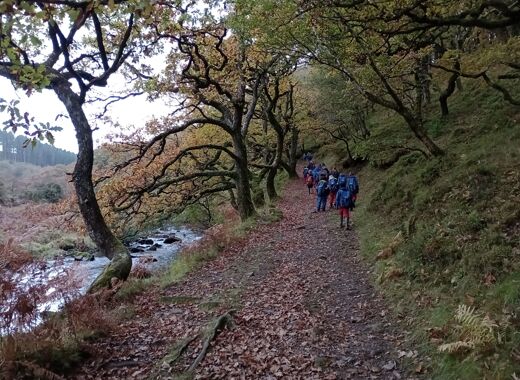 Img 20251010 111420089 mfnr