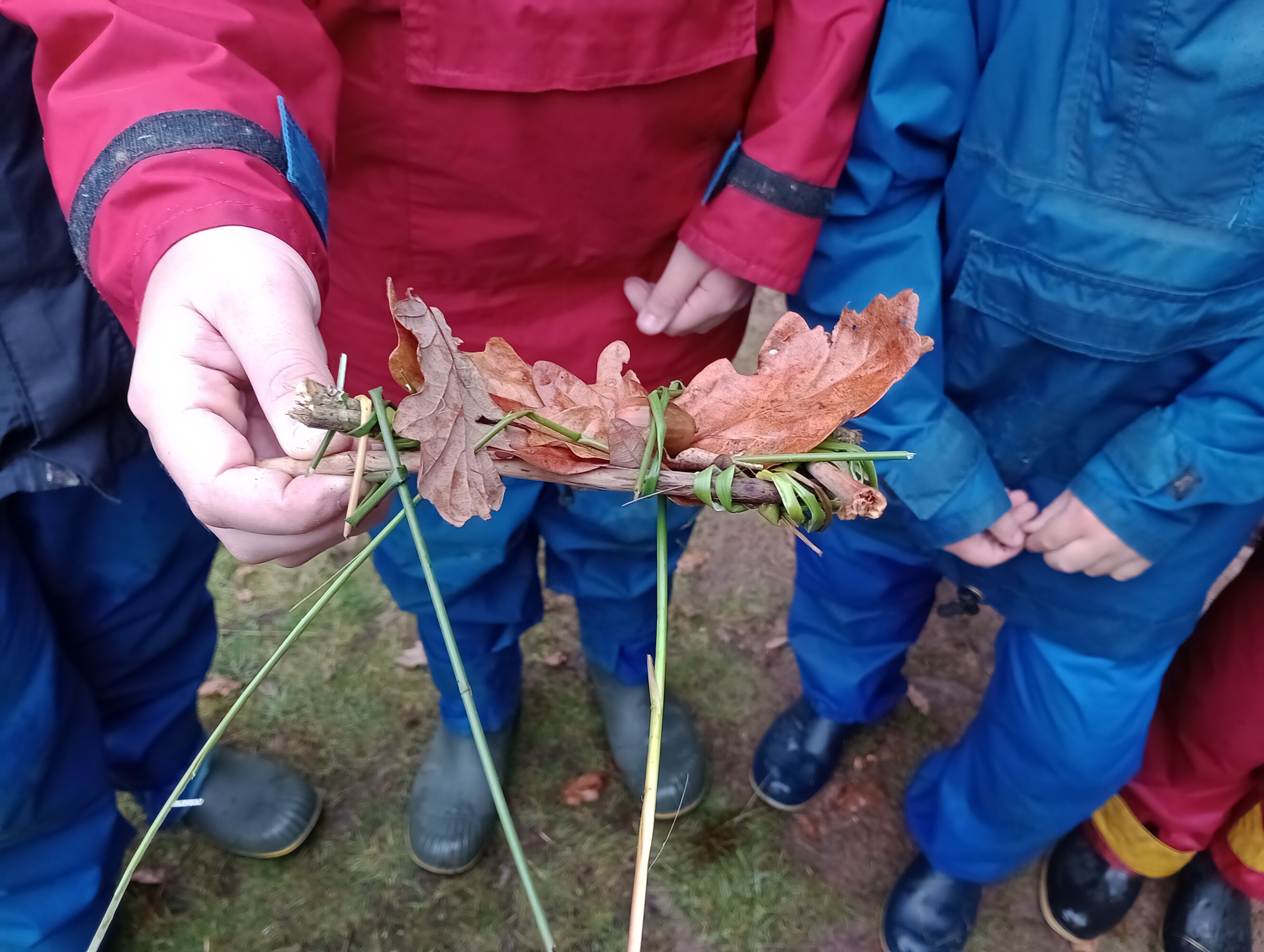 Img 20251010 115659683 mfnr