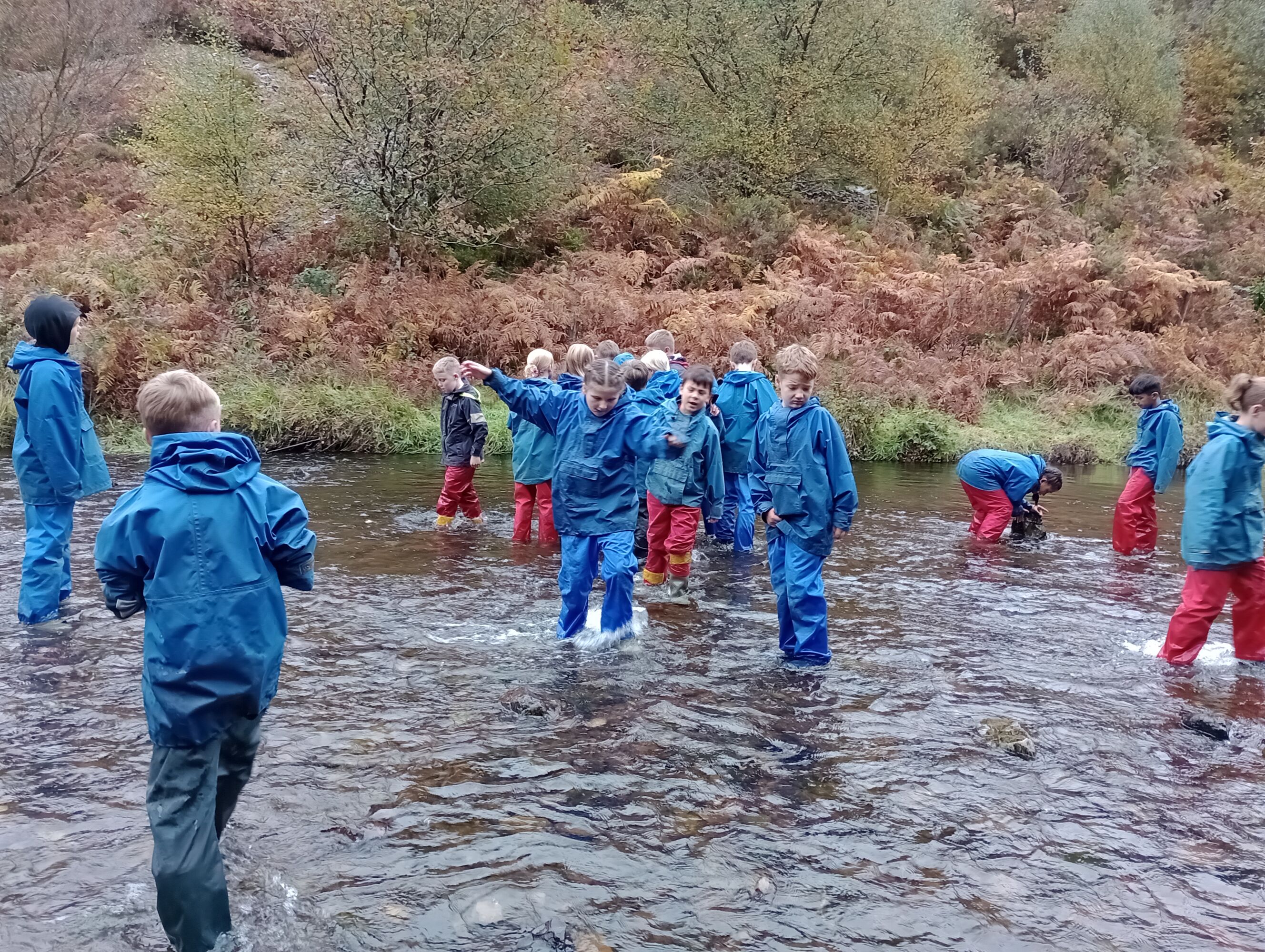 Img 20251010 112720346 mfnr